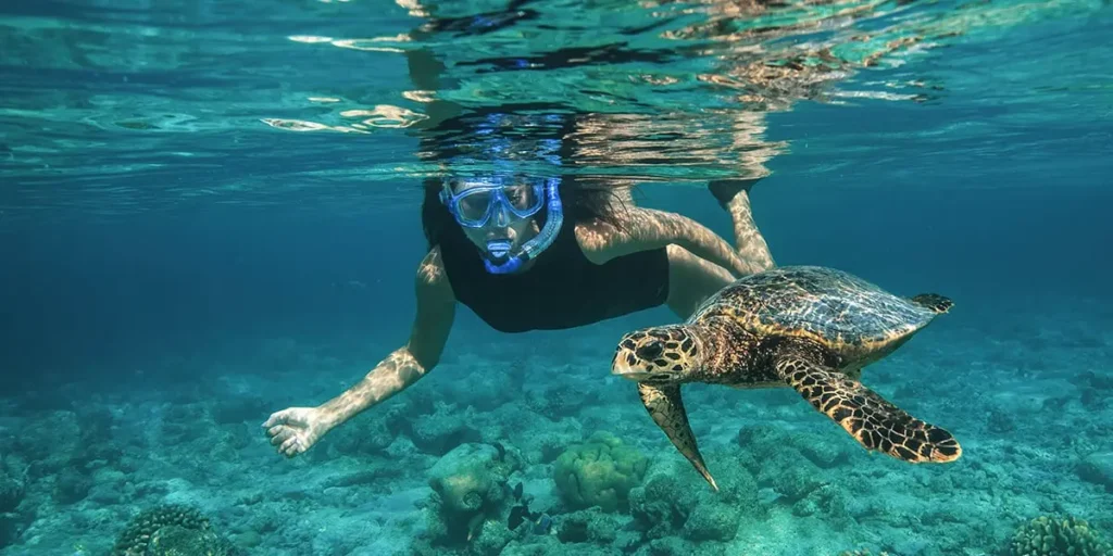 Maldives snorkelling packages