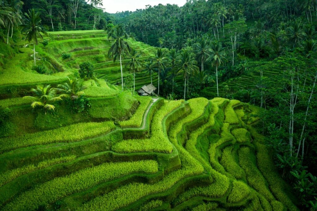 Scenic cliffs and turquoise waters at Nusa Penida – Bali tour popular with Malaysian tourists