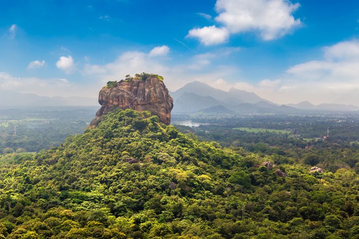 View of Dambulla Cave Temple and tea plantations in Sri Lanka
