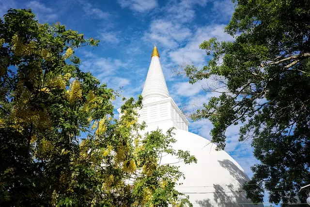 srilanka tours from mlaysia